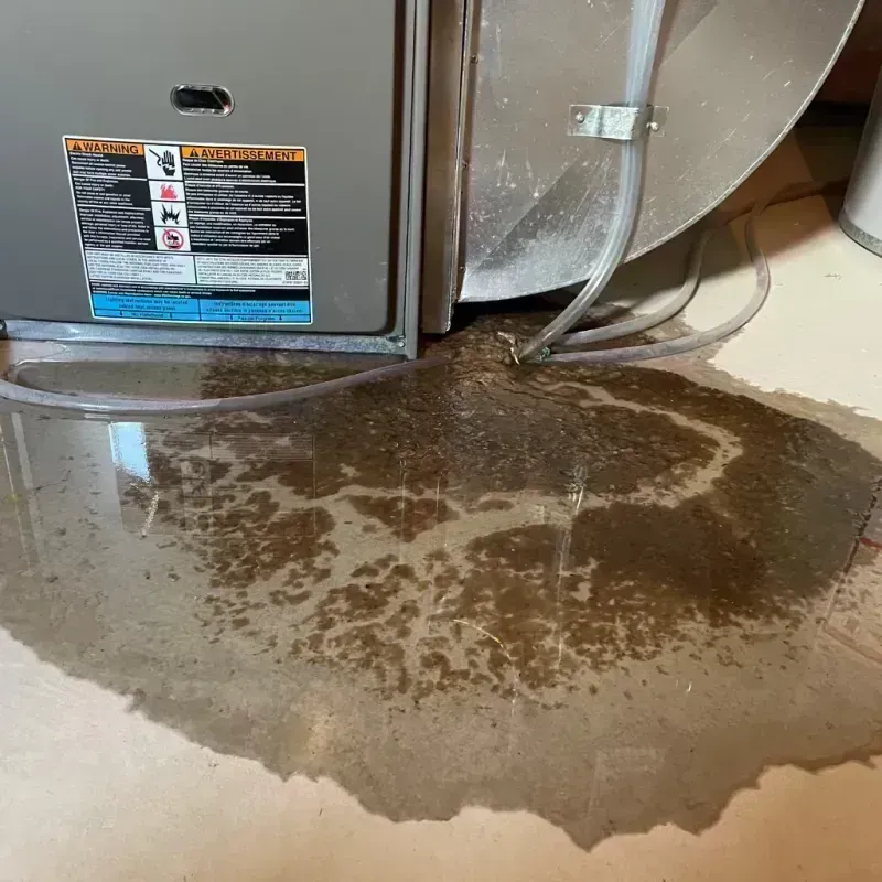 Appliance Leak Cleanup in Pevely, MO